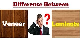 Difference Between Veneer amp Laminate [upl. by Tabshey]