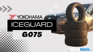 🛞Yokohama iceGUARD G075 [upl. by Viridi]