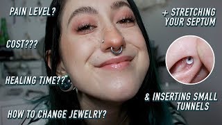 a 101 guide on septum piercings [upl. by Brest]