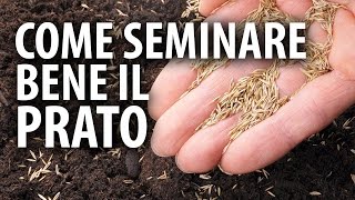 Come Seminare Bene il Prato [upl. by Etnovahs]