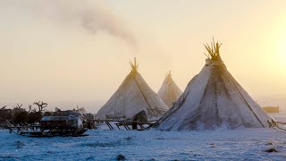 A Tent in Arctic Siberia  Living Moving and Making a Reindeer Skin Tent [upl. by Dollie249]