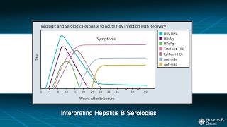 Hepatitis B Virus [upl. by Lipinski]