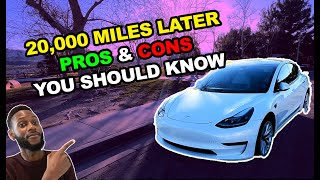 20000 Miles Later with Tesla Model 3 LFP  Pros amp Cons  MUST WATCH [upl. by Dyrrej]