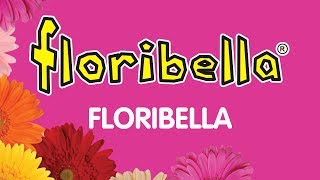 Floribella  audio oficial [upl. by Brass]