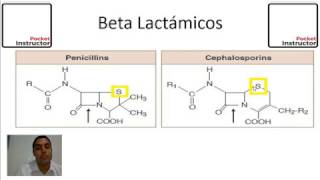 Como funciona la penicilina Pocket Instructor [upl. by Burgess]