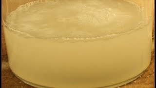 Starting a Liquid Yeast Culture [upl. by Ginder]