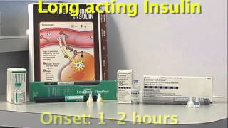 What Is Insulin – Dr Berg [upl. by Brose760]