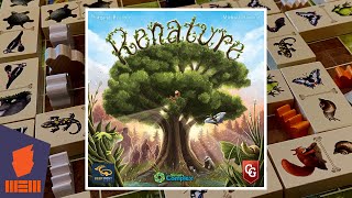 Renature — Fun amp Board Games w WEM [upl. by Frederica]