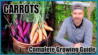 How to Grow Carrots from Seed to Harvest [upl. by Oiliduab]