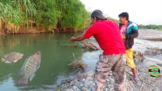 MIRA ASÍ SE PESCAN A LAS TILAPIAS CON ANZUELO  Pesca de Tilapias en Río [upl. by Sabino307]