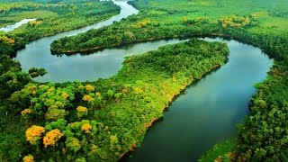 Características de los Peces del Rio Amazonas  TvAgro por Juan Gonzalo Angel [upl. by Jessalyn]