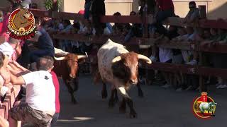 VILLAREJO DE SALVANES ENCIERRO 2019 [upl. by Nytsirc979]