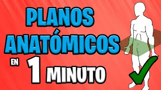 ✅ PLANOS ANATÓMICOS en 1 MINUTO 😱 [upl. by Jung37]