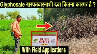 Use of Glyphosate 71 SG Herbicide to control weeds in agriculture Best herbicide to control weeds [upl. by Atinet413]