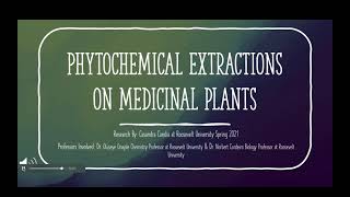 Phytochemical Extraction Methods Used On Medicinal Plants [upl. by Acir]