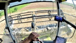 Cab View  Claas Lexion 740  Cressoni CRX 540  Wheat Harvest [upl. by Ahsienor]