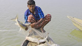 natural fishing in bangladesh  catfish catching [upl. by Malcah]