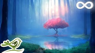 Deep Relaxing Music • Meditation Music Sleep Music Ambient Music [upl. by Eiramait]