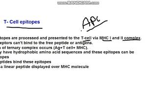 lecture 14 B cell and T cell epitopes [upl. by Camfort]