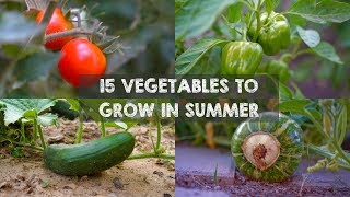 15 Vegetables amp Herbs You MUST Grow in SUMMER [upl. by Virge]