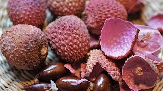 Litchi or Lychee Can This Fruit Be Poisonous How to Eat This Fruit Safely [upl. by Aihsyn]