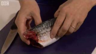 How to fillet a mackerel  BBC GoodFood com  BBC Food [upl. by Yalc]