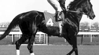 10 greatest race horses [upl. by Ahtilat]