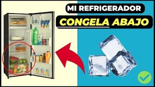 PORQUE EL REFRIGERADOR CONGELA EN LA PARTE DE ABAJO ❌ [upl. by Adnuhsor]