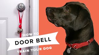 How To Door Bell Train Your Dog [upl. by Schiro]