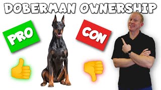 Doberman Pinscher Pros and Cons  From an ACTUAL Owner [upl. by Cary24]