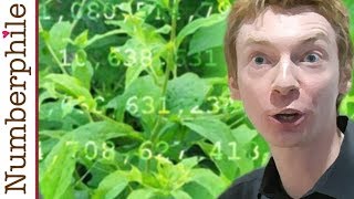 Primes are like Weeds PNT  Numberphile [upl. by Ahsekal]