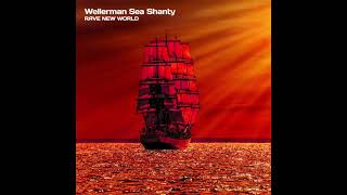 Wellerman Sea Shanty  Dubstep Version [upl. by Tepper35]