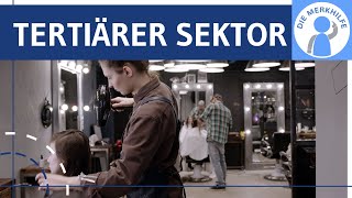 Tertiärer Sektor  Dienstleistungen  Wirtschaftssektoren 3  Dienstleistungsgesellschaft [upl. by Letnoj]