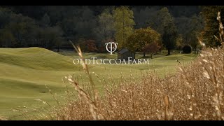 Old Toccoa Farm Golf Course in Blue Ridge GA  18 Holes Flyover [upl. by Cahan]