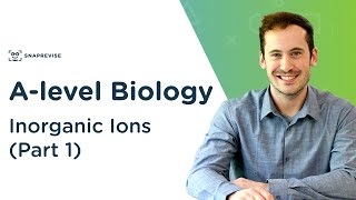 Inorganic Ions Part 1  Alevel Biology  OCR AQA Edexcel [upl. by Siroved]