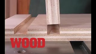 How To Make PerfectFitting Tablesaw Dadoes  WOOD magazine [upl. by Genny623]