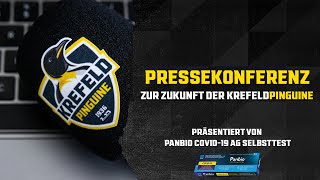 Pressekonferenz zur Zukunft der Krefeld Pinguine [upl. by Ahsemac351]