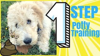 1 STEP Potty Training for Your New PUPPY Seriously Easiest Dog Training Hack that Worked For Me [upl. by Noda39]