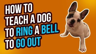 HOW TO TEACH A DOG TO RING A BELL TO GO OUTSIDE [upl. by Maris79]