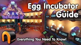 ARK Egg Incubator Guide And How To Use It ARK [upl. by Hsu345]