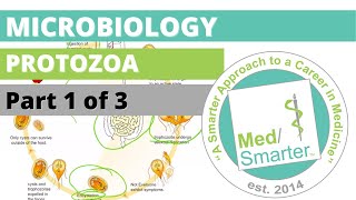 Protozoa  Microbiology  USMLE STEP 1  Part 1 of 3 [upl. by Sauveur203]