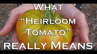 What quotHeirloom Tomatoquot Really Means [upl. by Kurth]