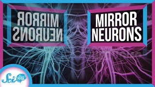 What Do Mirror Neurons Really Do [upl. by Linis]