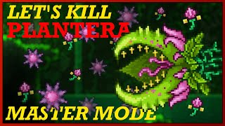 How to EASILY Beat MASTER MODE Plantera in Terraria 14 [upl. by Nnylirej]