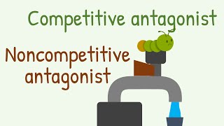 Competitive Antagonist vs Noncompetitive Antagonist [upl. by Aicnetroh]