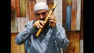 How to Play the Native American Flute in under 10 minutes EASY Lesson 1 [upl. by Notxam]