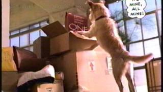 Purina One Dog Food Commercial 1999 [upl. by Aicilra]