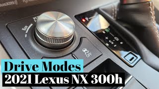 Drive Modes of the 2021 Lexus NX 300h [upl. by Bernete]