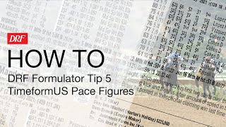 How To  DRF Formulator Tip 5  TimeformUS Pace Figures [upl. by Eilla25]