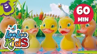 Five Little Ducks  S2EP15 Musical Adventure Collection  LooLoo Kids Songs for Kids [upl. by Edveh]